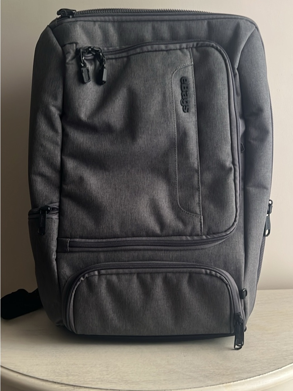 eBags Professional Slim Laptop Backpack